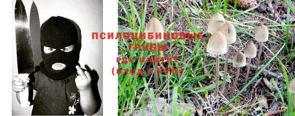 винт Арсеньев