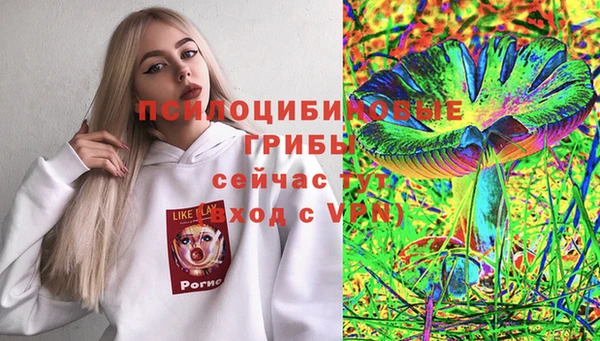 винт Арсеньев