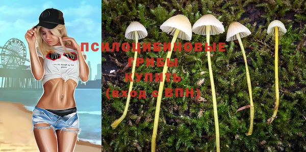 соль ск Аркадак