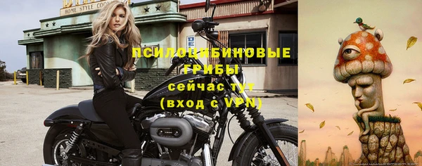 винт Арсеньев