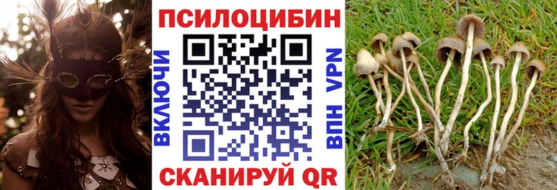 Галлюциногенные грибы мицелий нарко площадка официальный сайт Шахты